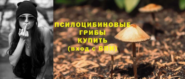 герыч Ладушкин