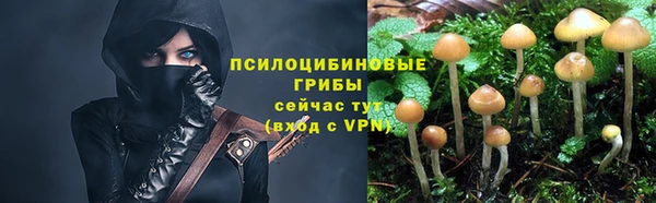 герыч Ладушкин