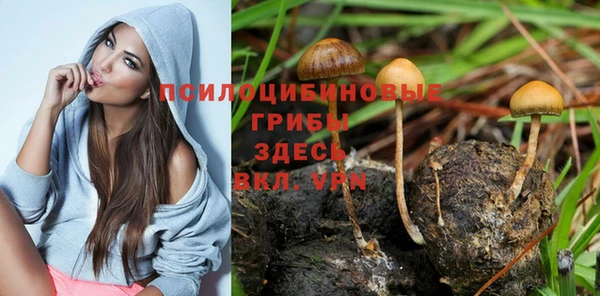 соль ск Лабытнанги