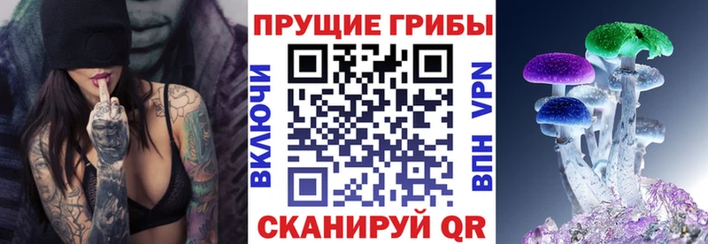 купить   Лысково  Галлюциногенные грибы мицелий 